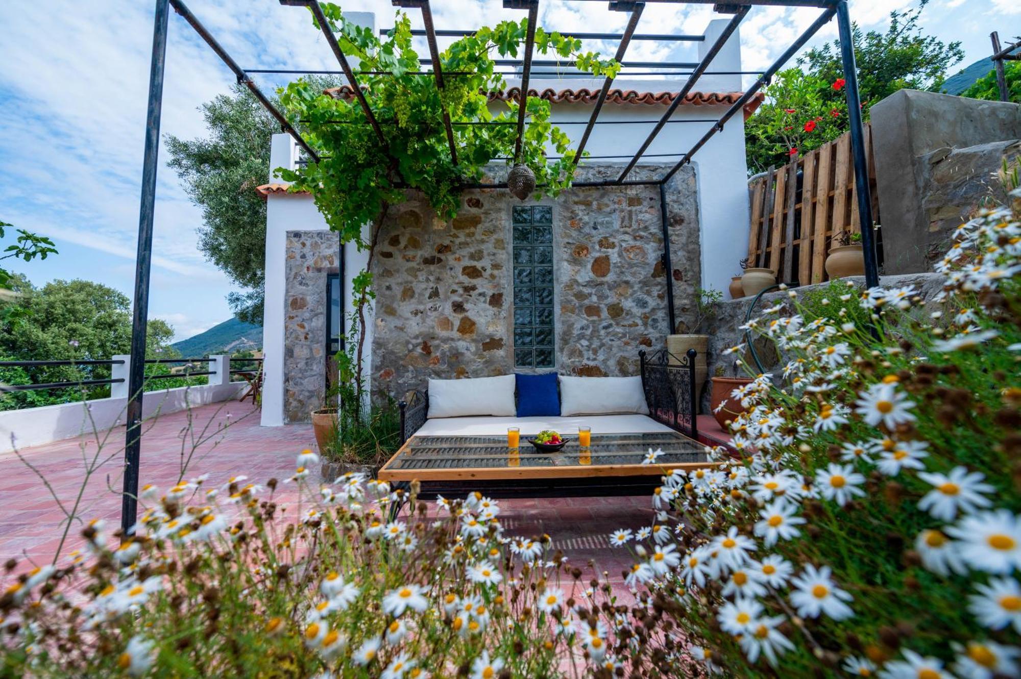 Farm Finn Chefchaouen Esterno foto